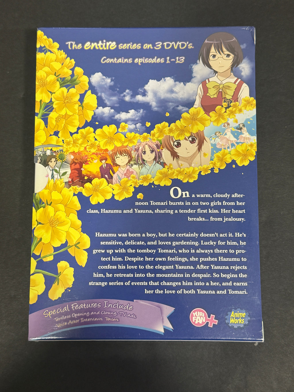 Kashimashi: Girl Meets Girl Complete Collection DVD Box Set – Factory Sealed – Anime Works